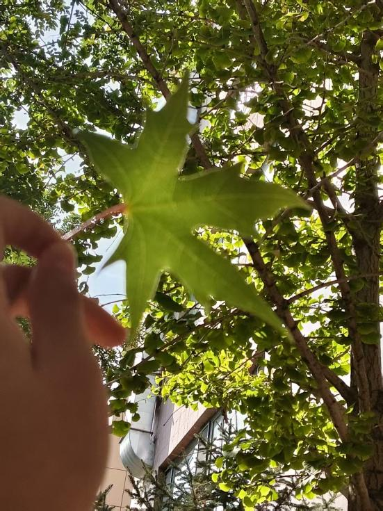 微信图片_2025-10-10_092742_287